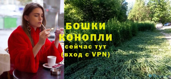 ПСИЛОЦИБИНОВЫЕ ГРИБЫ Каменногорск