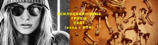 мдпв Киренск