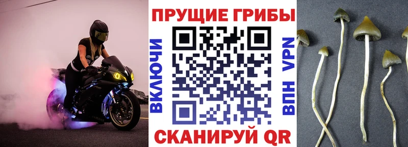дарнет шоп  Первоуральск  blacksprut онион  Галлюциногенные грибы Cubensis 